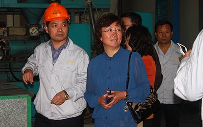 Xu Tao, Chief Rare Earth Engineer of Baosteel, came to our company for special research